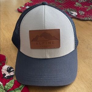 Alpine Design Gray and Black hat